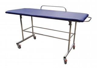 Physiotherapeutic mobile couch
